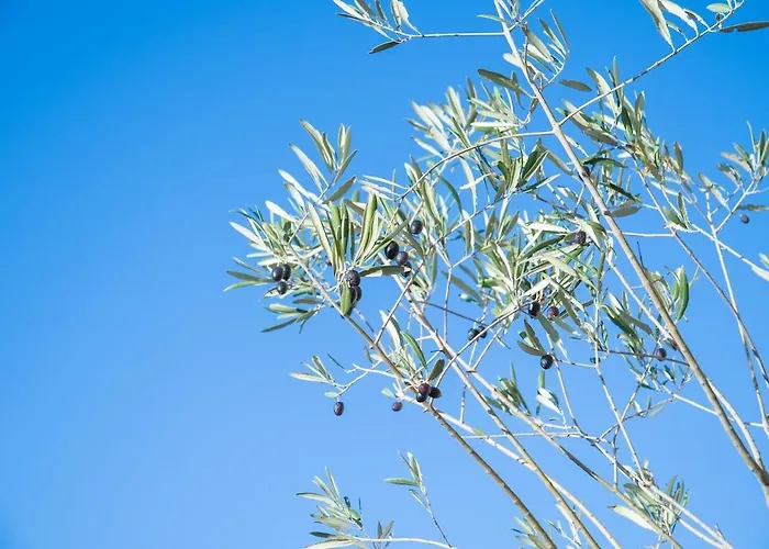 公寓 High Standing Swimming Pool 3 Min Away *